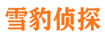 林州市私家侦探